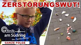 Wegen kranker Oma? - Warum ist Raffi plötzlich aggressiv & klaut? | Die Familienhelfer