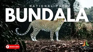 Bundala National Park | Sri Lanka&rsquo;s Ramsar Wetland, Birdwatching Sanctuary & Wildlife