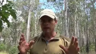 How to set up a survival water distillation system