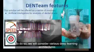 DENTeam