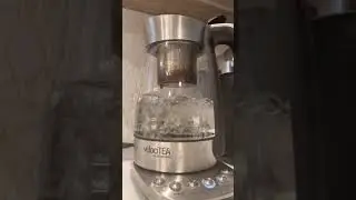 Velocitea Instructions