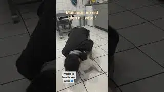 Dalma assurance sant&eacute; chien et chat ❤️ 1er mois offert : CECILExMAYA