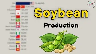 Top Countries Leading Soybean Production 1961&ndash;2024