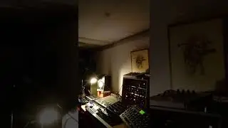 Moog Voyager RME Erica Steampipe/Mildpunk 