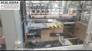 SCALIGERA PACKAGING Incartonatrice Case Packer MP700L per Flow Pack