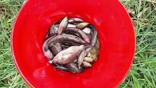Fishing in bukidnon 