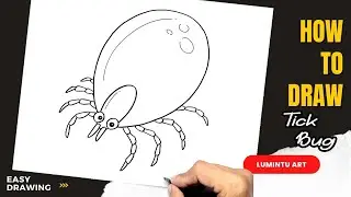 How to draw Tick Bug - Easy Tick Bug Drawing