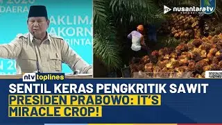 Sering Dinyinyir, Presiden Prabowo Klaim Dunia Justru Mohon-mohon RI Tetap Suplai Sawit | NTV