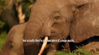 Welcome to the Jungle  EXPEDITION CONGO  Ep1