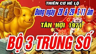 Lộ Thiên Cơ Quẻ 3 Cặp Số: Tử Vi Tân Hợi 1971 Ngày 28-29/11 Âm Số Đỏ Đem Lại Tiền Tỷ Xem Ngay???