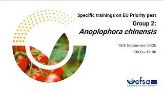 Statistically sound survey of Anoplophora chinensis - Spanish subtitles