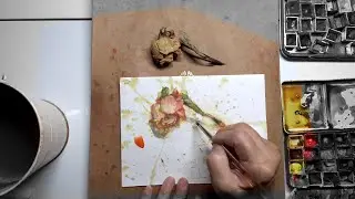 PROCESS: Daily Rose Watercolour Painting DAY 3793 (20251226FRI)