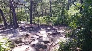 Bee Rock
