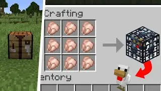 How to Craft a Chicken Spawner in Survival Minecraft 1.16! (Java and Bedrock)