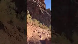 Cholla to echo