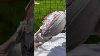 How to professionally Mud/Game Prep a leather (NFL) Football🧼🏈 #shorts