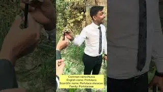 20 Weed Identification Agronomy Lab in IUBAT