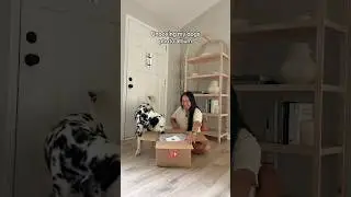 Unboxing my dogs photo album! #dog #dogphotography