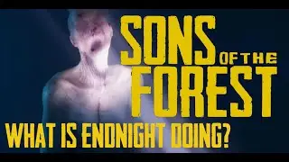Sons Of The Forest: what is Endnight  doing?