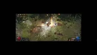 Shaman BEAR Druid Build - Endgame versi&oacute;n