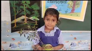 World Nature Conservation Day Celebration