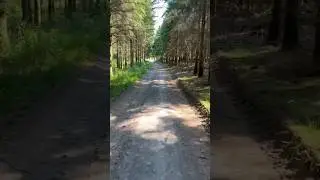 🚲 Biking through the Enchanting Ardennes Forest🇧🇪
