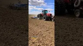 M.Ferguson 6495 on cultivating action with duals on【6.6L/185 Hp】 ! ! ! #trending  #shorts