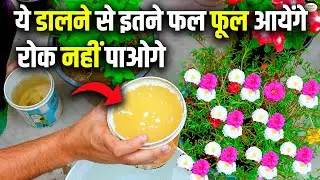 By applying this, you will get so many fruits and flowers that you will not be able to stop them ...