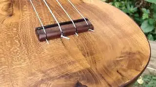 Russ Morin Ukuleles Concert #9
