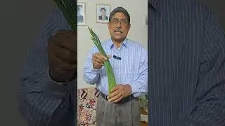 সাধারণের মাঝেই অসাধারণ