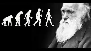 Is Evolution 'Pseudoscience'?