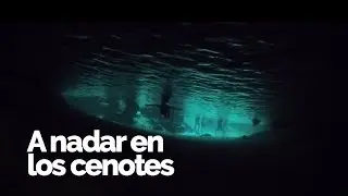A nadar en los cenotes