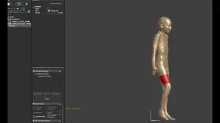 Sim4Life Poser: User Defined Surfaces