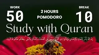 Ibrahim &rarr; Al-Isra &mdash; 2 Hour Quran Recitation with Rain + Fireplace Ambience | Pomodoro 50/10 &middot; Qalam