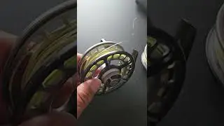 Sage Fly Reels