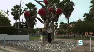 Los Cascos Urbanos Hablan - Yauco (3/3)