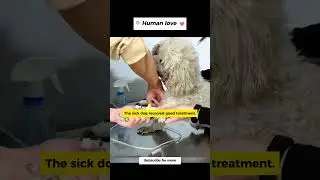 Human act of kindness