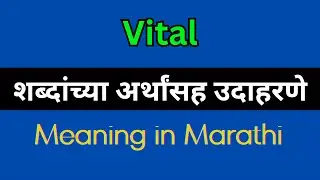 Vital Meaning In Marathi / Vital Marathi meaning, Vital explained in Marathi