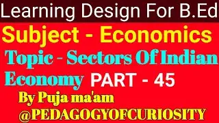 ||Learning Design For B.Ed in Economics|| Topic- sectors Of Indian ECONOMY||Part - 45||By Puja Ma'am