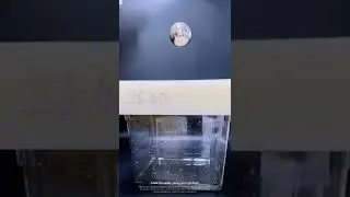 Comparison Test Of Different Densities Of Quick-Drying Foam