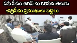 telugu cine inustry tycoons meets jagan - chiranjeevi and nagarjuna