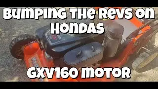 Hondas GXV160 motor RPM adjustment - Bumping the Revs for Peak POWER - HRU216 HRU 196 KubotoW821S