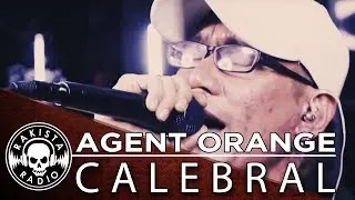 Agent Orange (Slapshock Cover) by Calebral | Rakista Live EP43