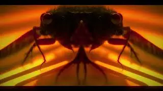 Official Video - Chasm - from ATMAN - Ambient - RJ Valeo - Deep Rich Heady Visuals