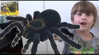 Radio Control Tarantula - SPIDER