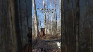 Riding With My Young Horse Off-Leash
