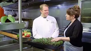 Beachside Bites - Episode 6 - The Bay House, Beet Salad