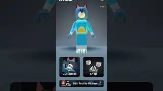 If bluey and her family was in roblox