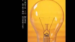 The String Quartet Tribute To Muse - Time is Running Out