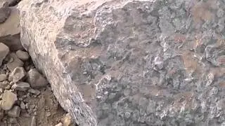 Copy of Shore-line Shallow Depth Deposited Phosphorite Rock Formation